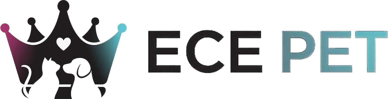 logo-h2