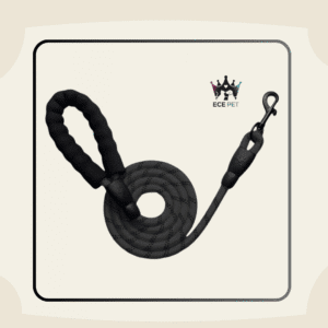 Reflective Nylon Dog Leash with Padded Handle (Black)