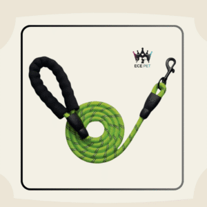 Reflective Nylon Dog Leash with Padded Handle (Green)