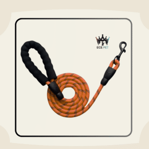 Reflective Nylon Dog Leash with Padded Handle (Orange)